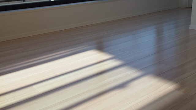 文京区の環境配慮型コーティング施工後