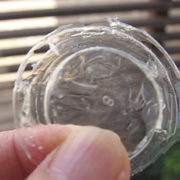 プラスティックの蓋のような塗膜